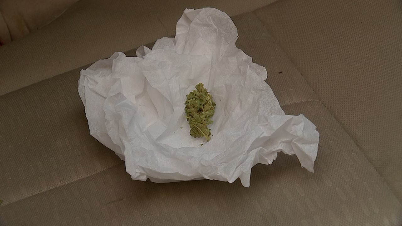 Harris County's new marijuana policy in effect